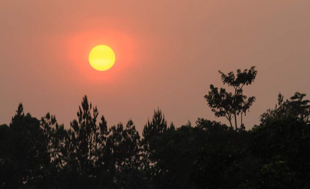 Kibale Forest National Park