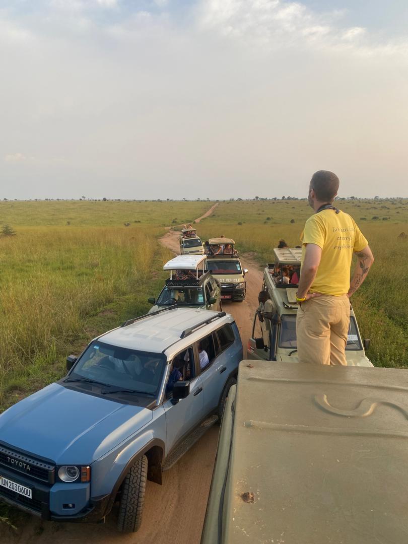 Last-Minute Safari Blitz