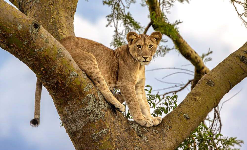 Queen_Elizabeth_National_Park_049-1755328454.jpg